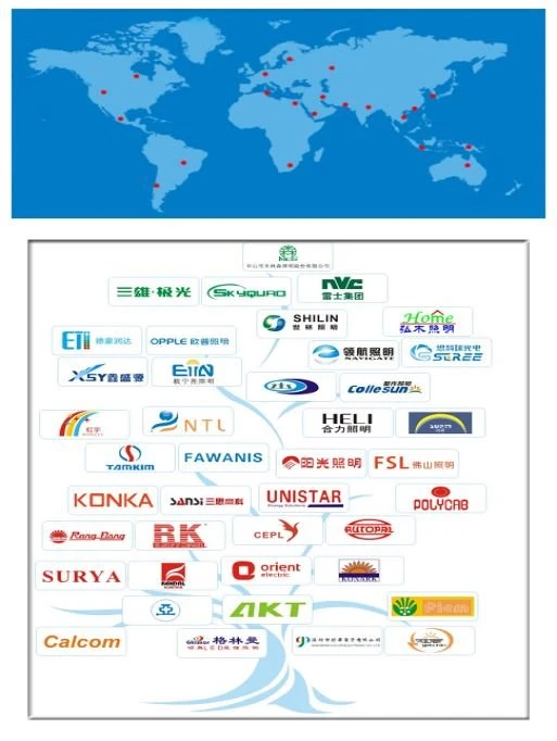 partner in China and abroad partner in China and abroad